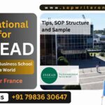 Essay for INSEAD | Motivational Essay for INSEAD France